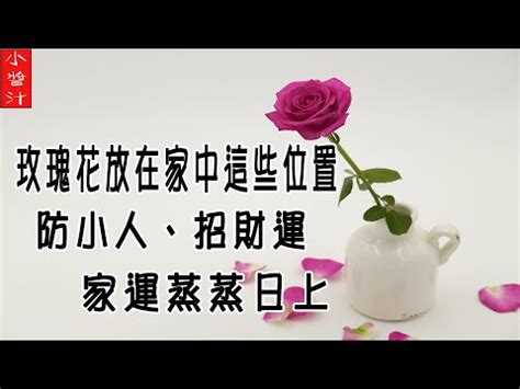 種玫瑰 風水|玫瑰擺放：風水禁忌